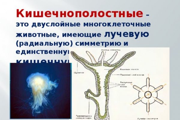 Актуальный сайт кракена